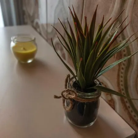 Die Homestay
